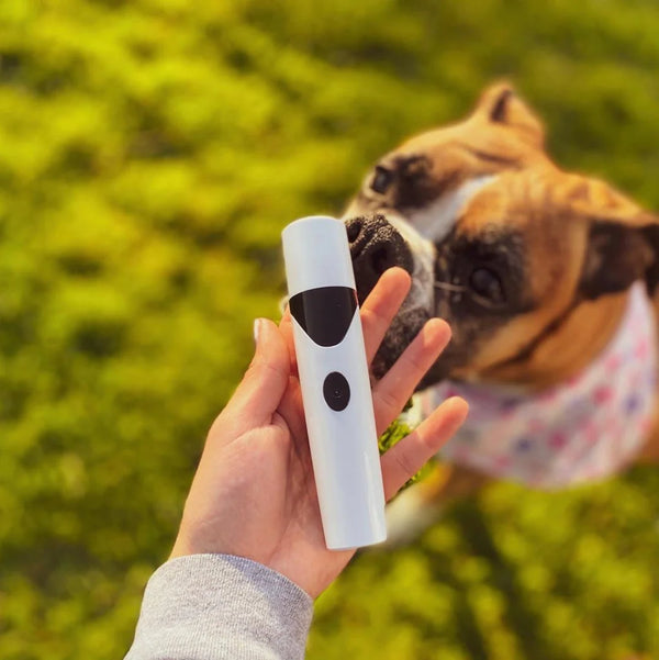 Electric Pet Nail Trimmer