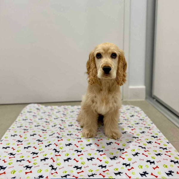 Reusable Accident Proof Puppy Pads