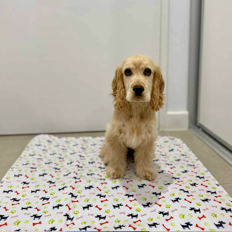 Reusable Accident Proof Puppy Pads